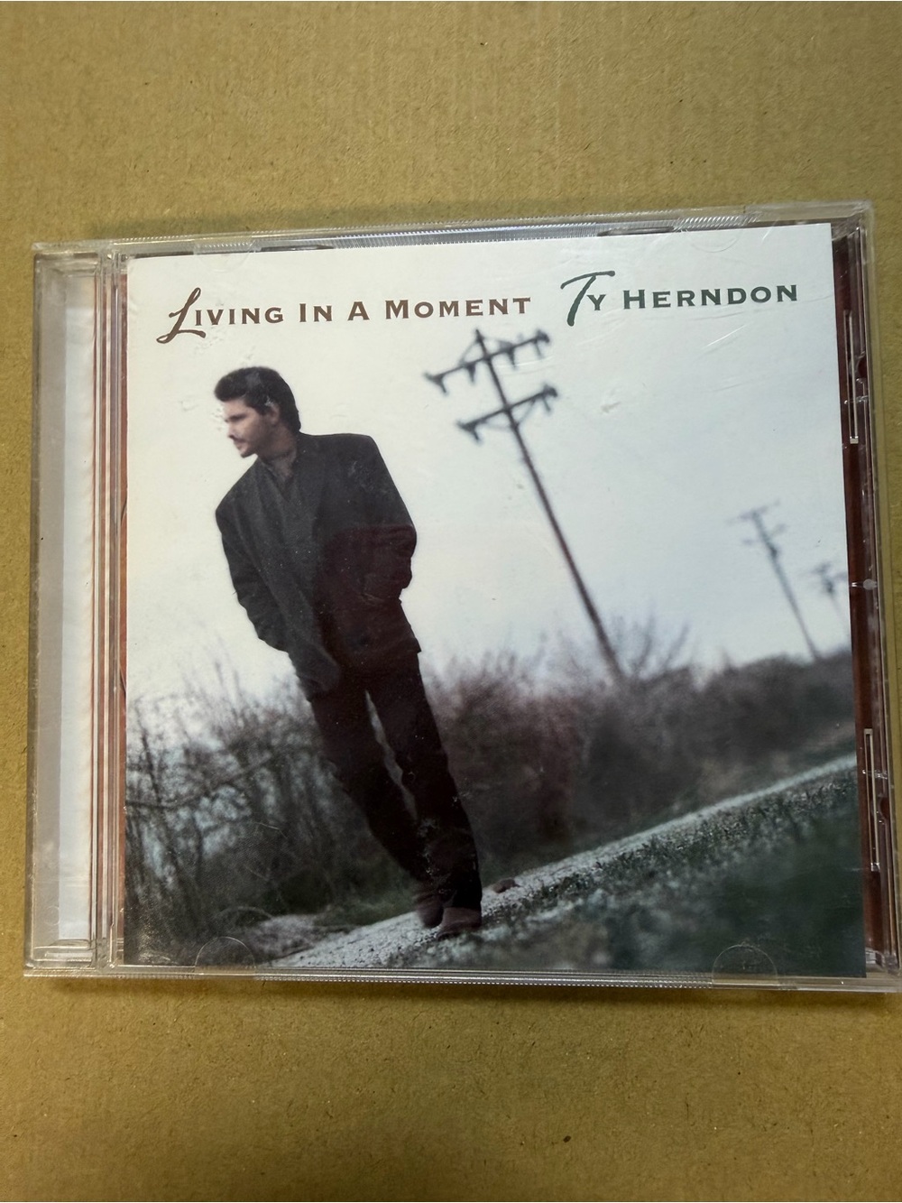 Ty Herndon Living In A Moment 1996 Music CD Good Condition